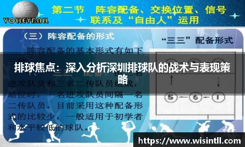 排球焦点：深入分析深圳排球队的战术与表现策略