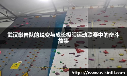 武汉攀岩队的蜕变与成长极限运动联赛中的奋斗故事